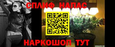 СК Будённовск